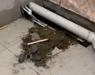 绥棱卫生间漏水检测哪家好
