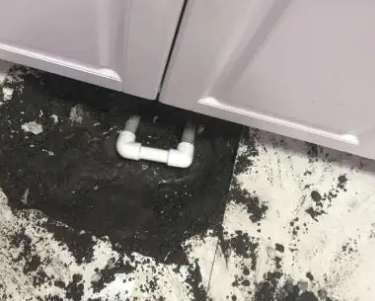 绥棱查漏水哪家好
